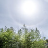 盛夏の梅雨空･･