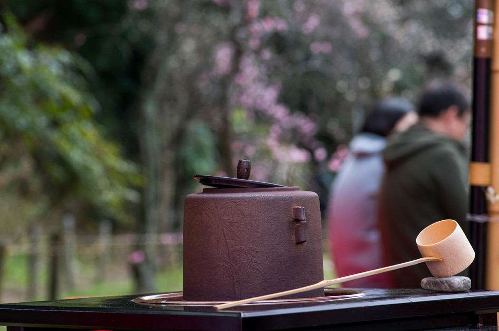 梅にお茶