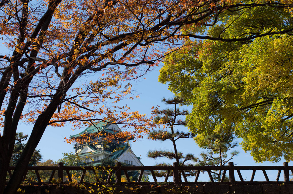 小秋日和の見なれた景色