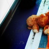 Photo Walker