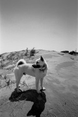 Film Photography