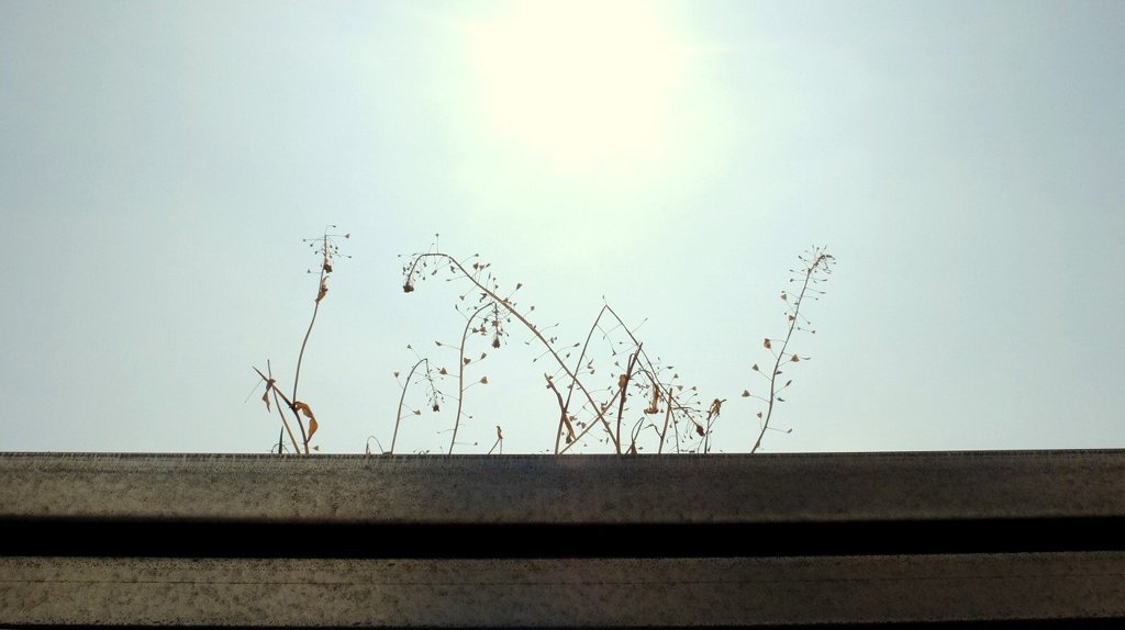 untitled
