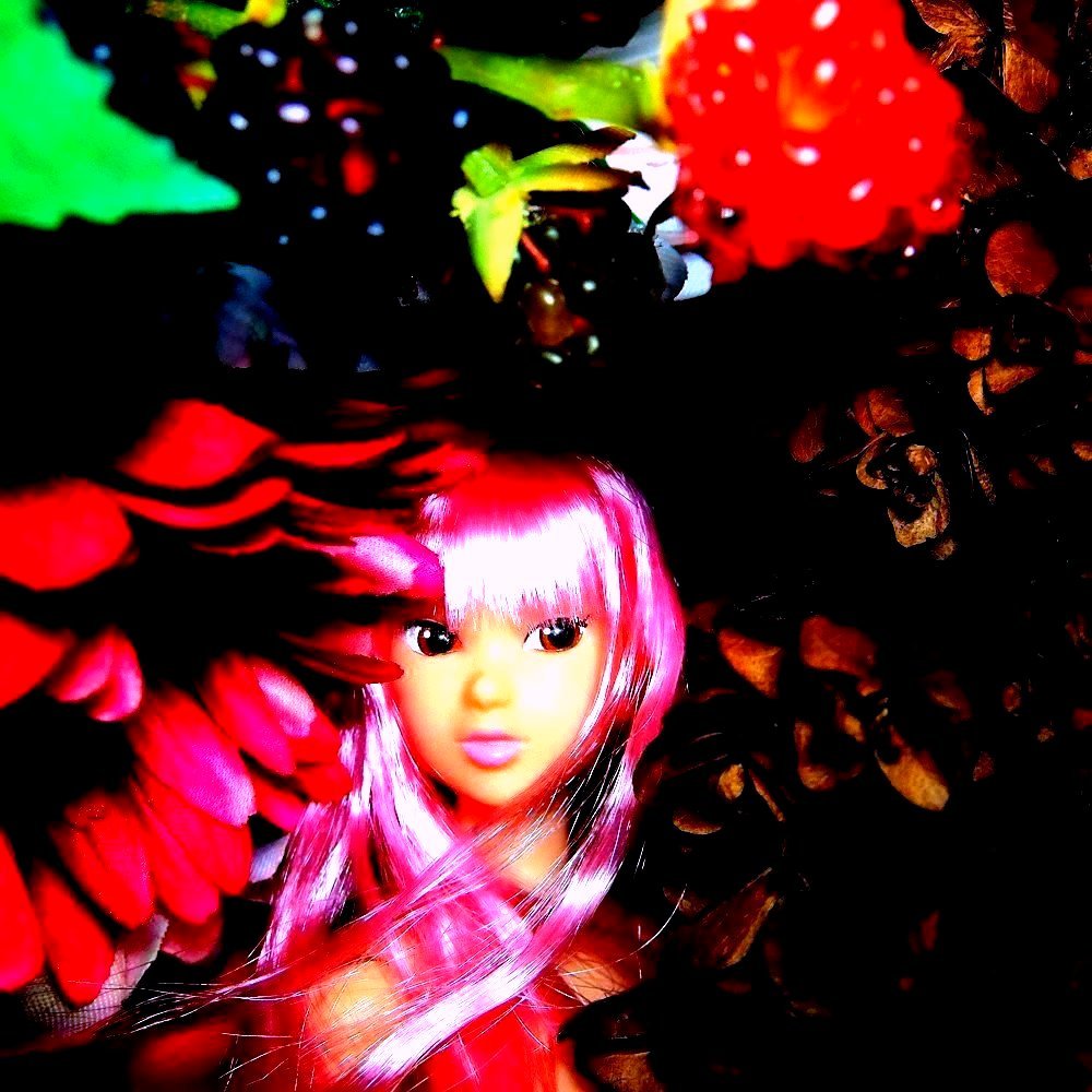 bloom