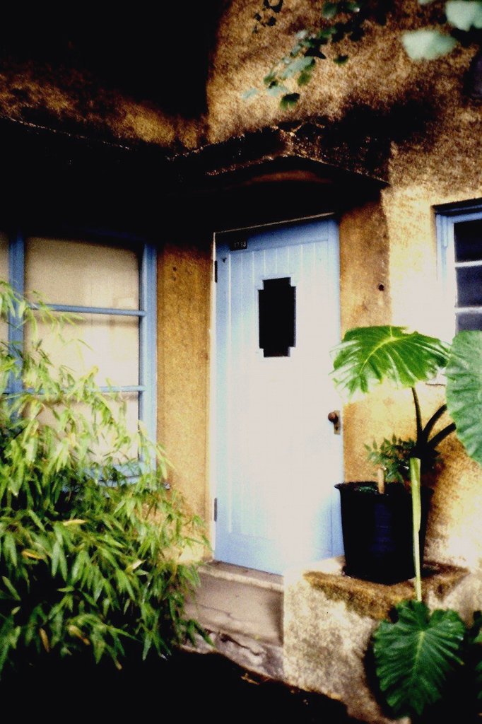 Film Photography