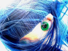 亜細亜の青い蝶