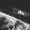 Film Photography