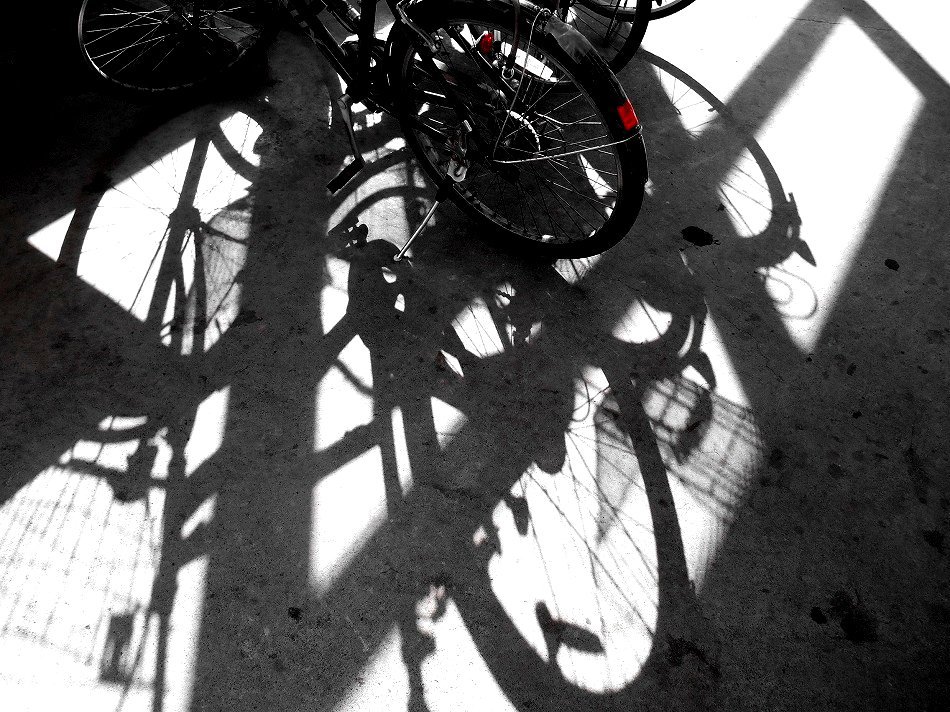 Photo Walker