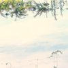 夏の記憶