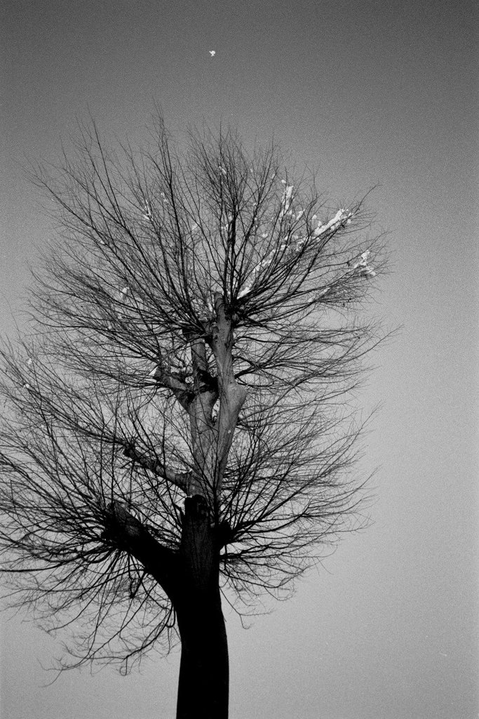 Film Photography