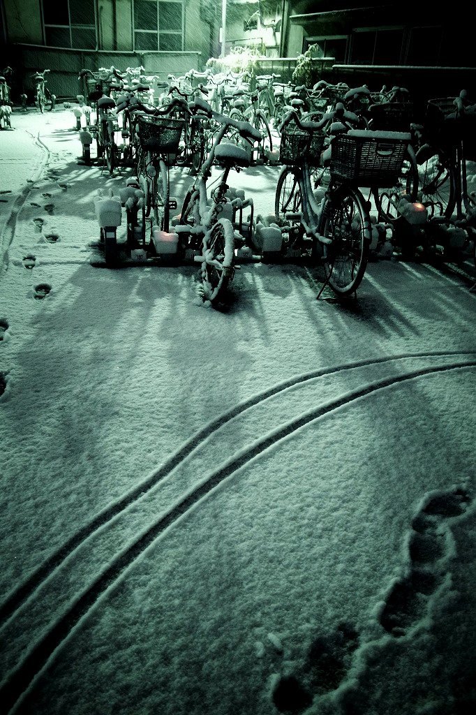 Photo Walker
