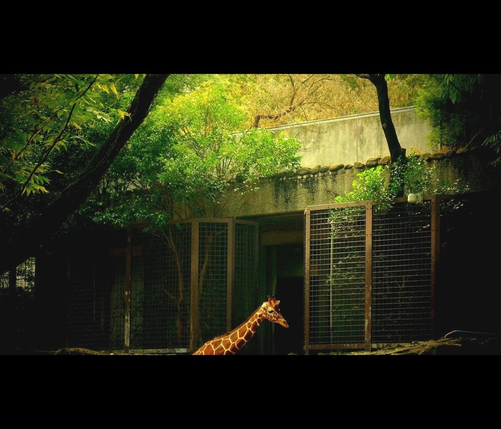 Zoo