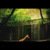 Zoo