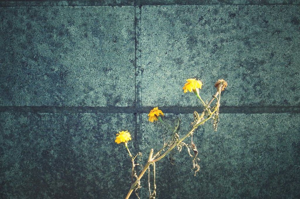Vintage