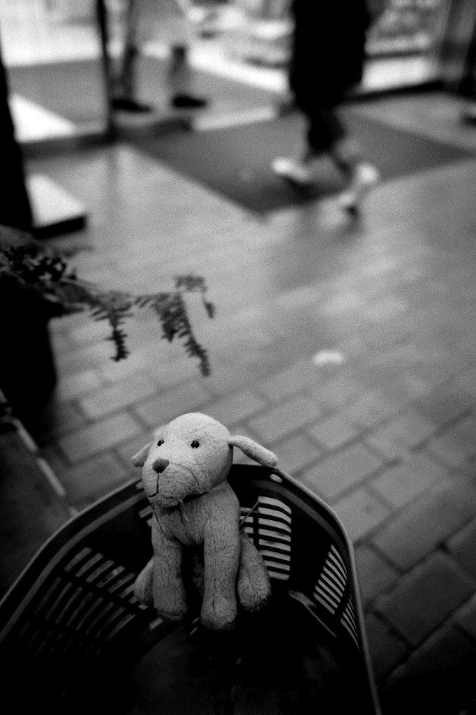 Film Photography