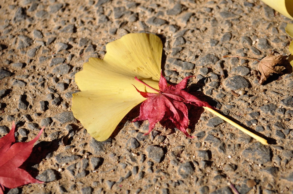 紅と黄色