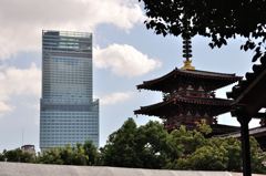その差1420年のコラボ