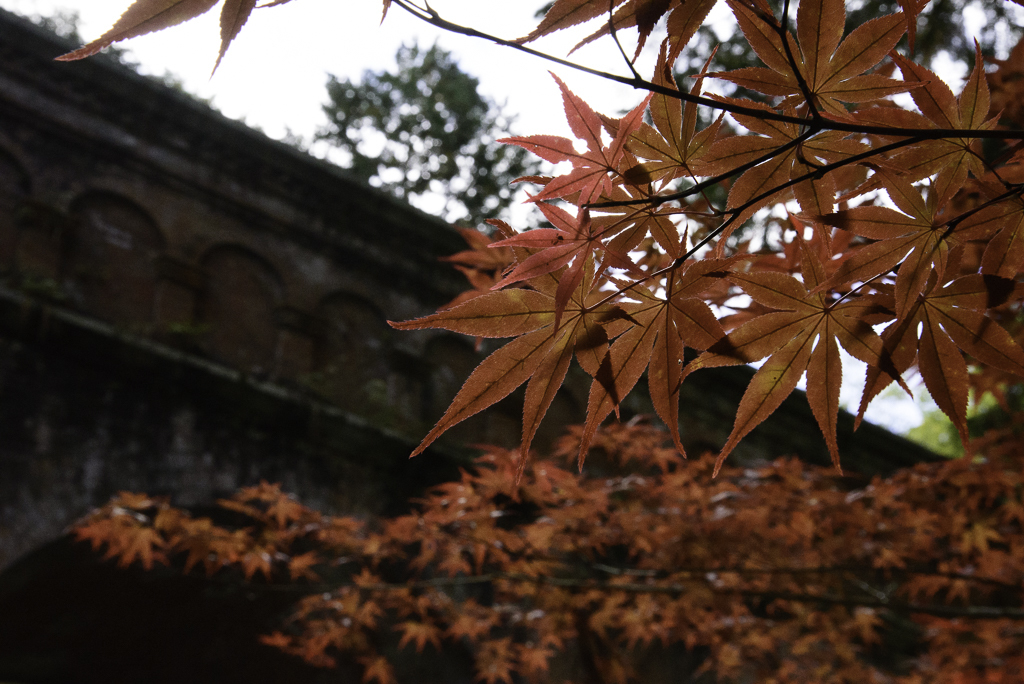 何年も続く景色