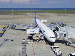 大忙し