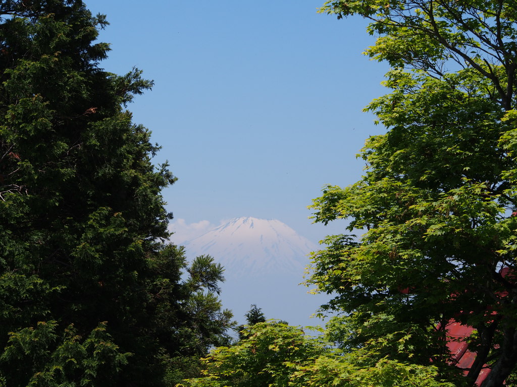 富士山！