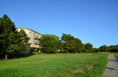 葛西臨海公園　青空と芝生