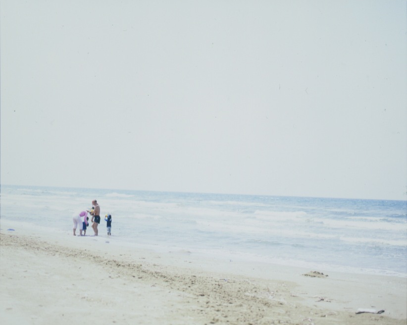 孫と海。
