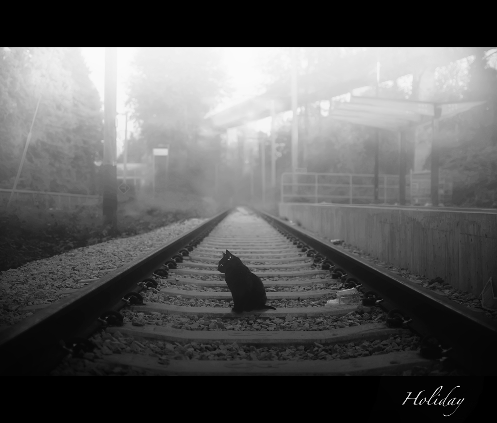 Black Cat and Railway.