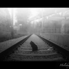 Black Cat and Railway.