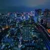 Night View of Tokyo (2)