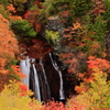 秋彩の滝