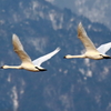 Synchronized flying