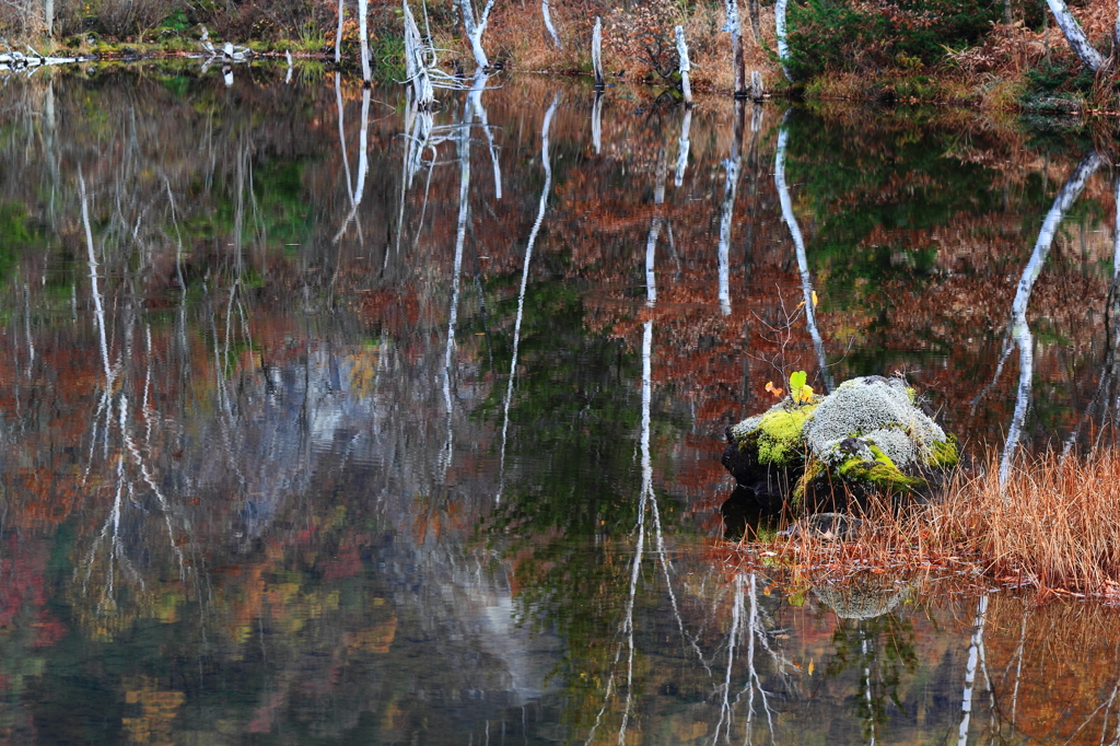 高原池の秋