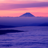 雲海に浮かぶ富士