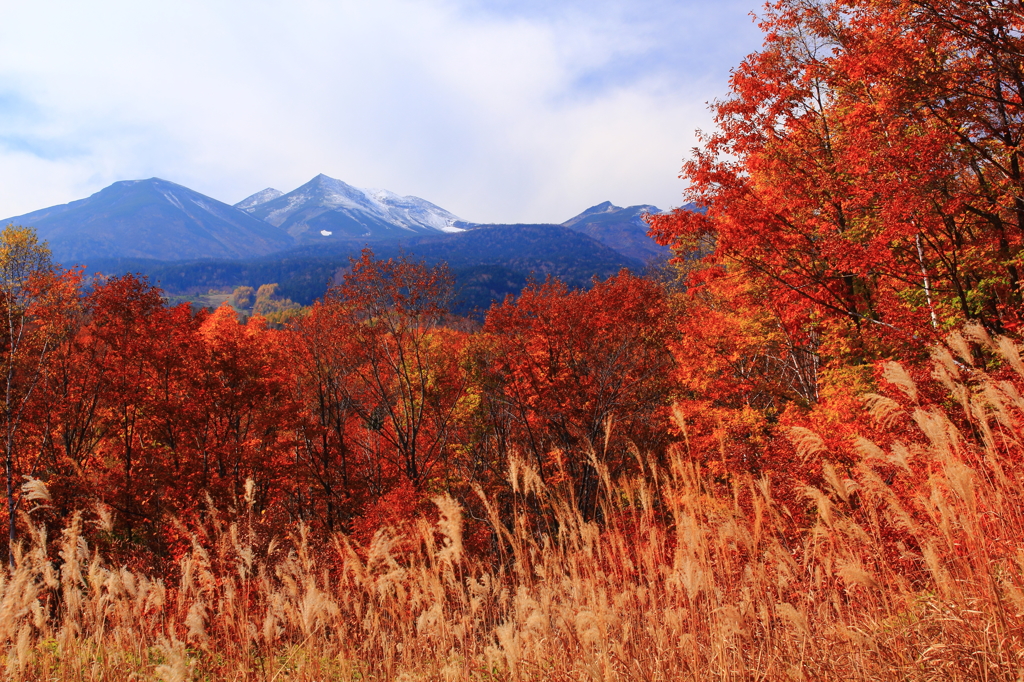 乗鞍岳と紅葉