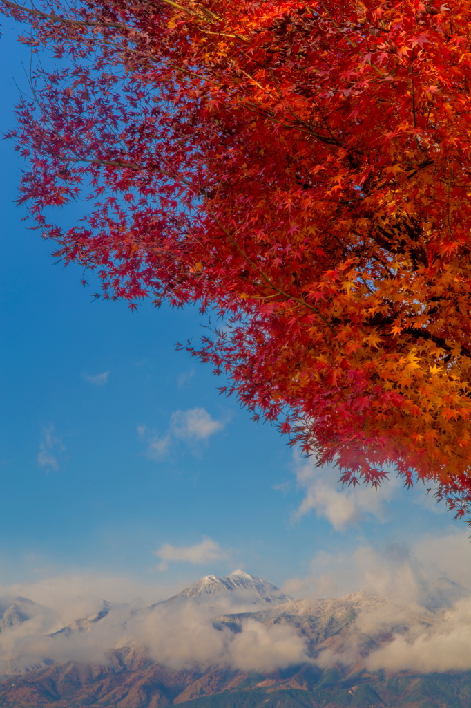 常念と紅葉