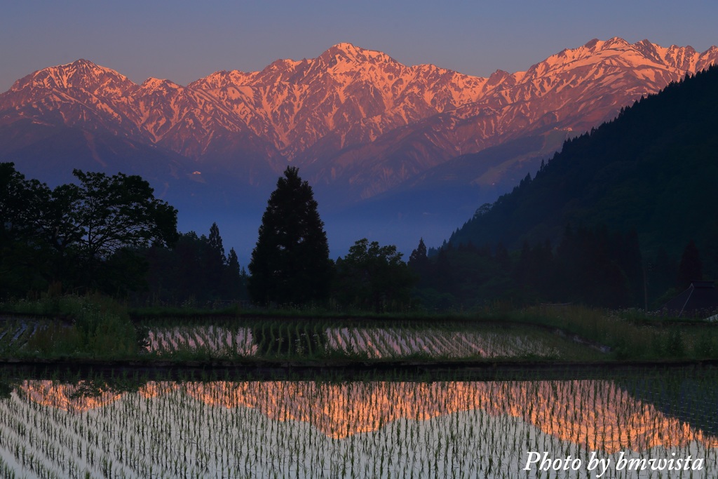 Aoni Reflection