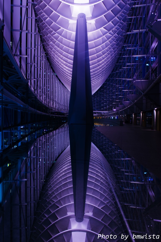 Reflection in the night
