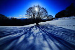 Silhouette and shadow