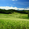 初秋の中山高原