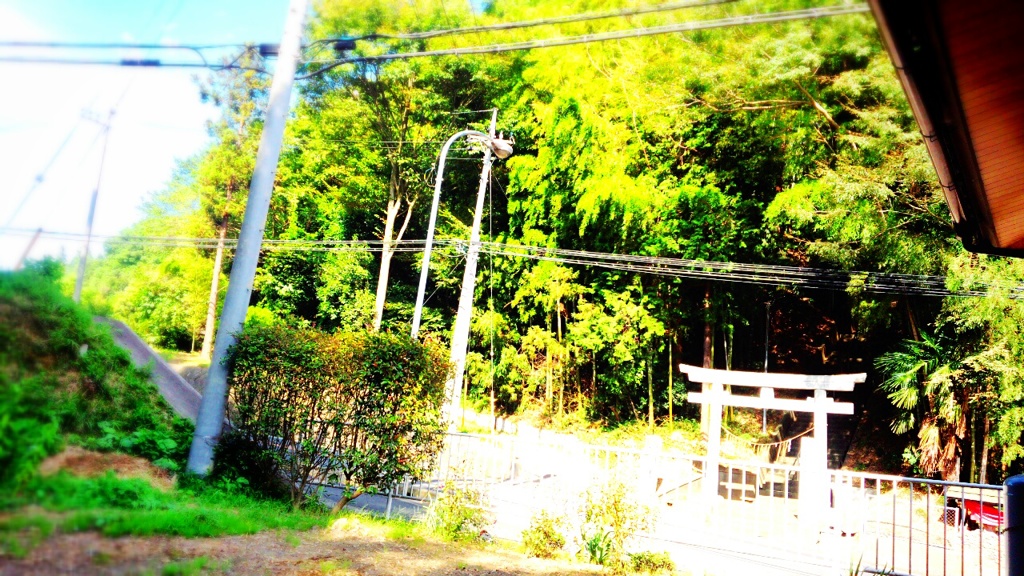 窓からの景色