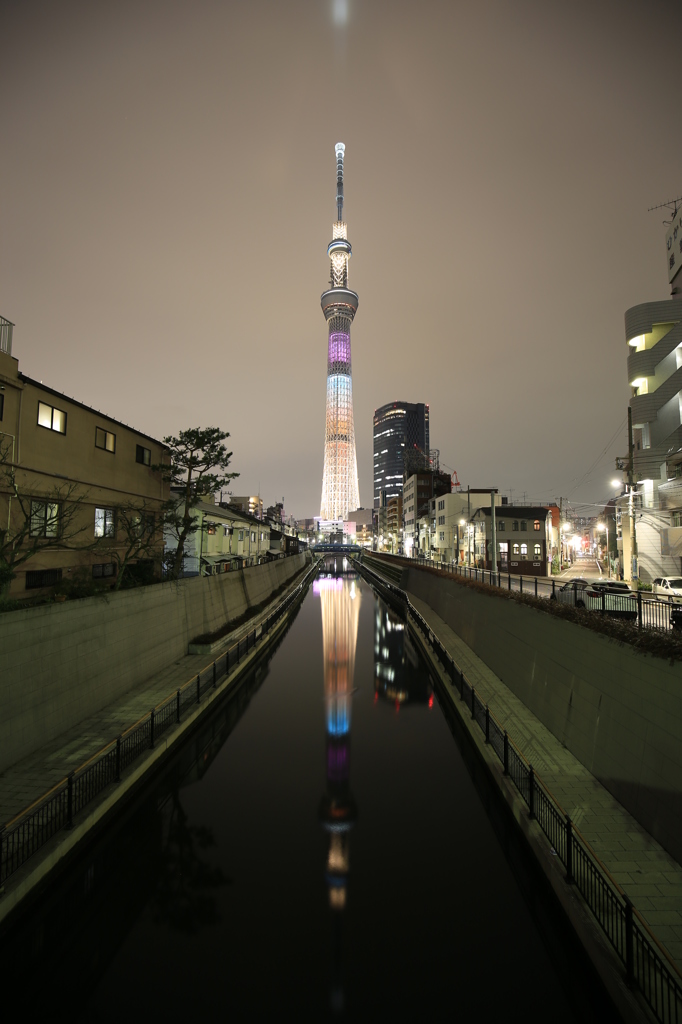 Lovely Chocolat by Sky Tree