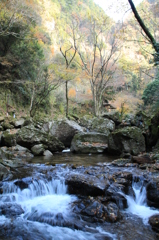 赤目四十八滝8