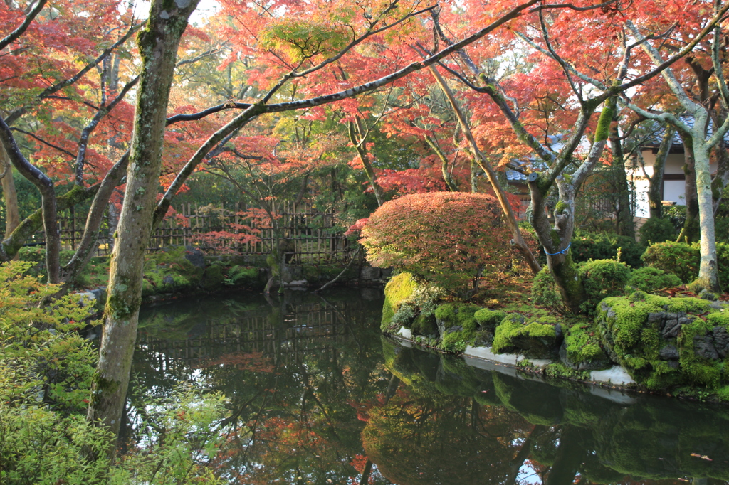 清水寺5