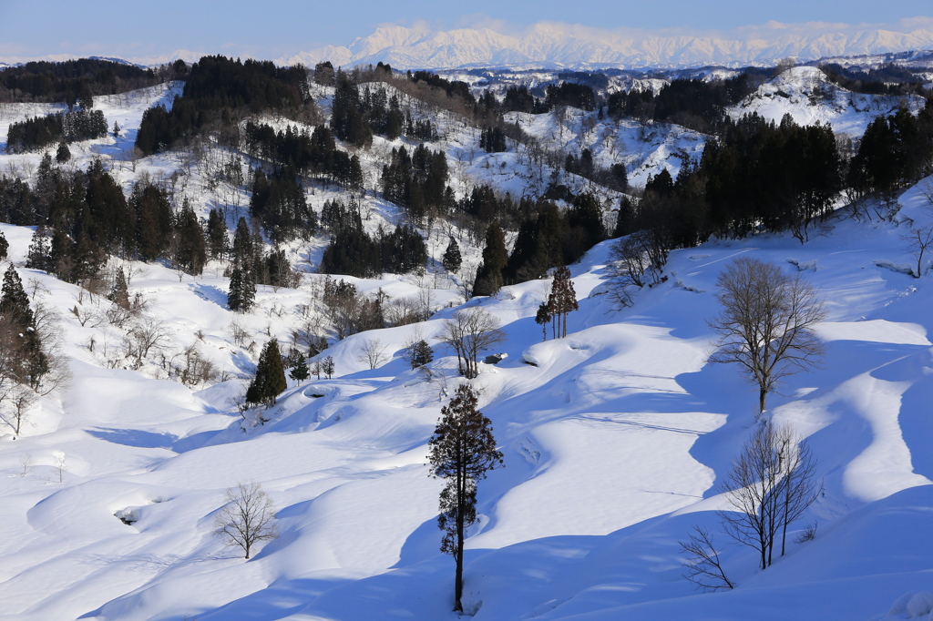 棚田の雪化粧