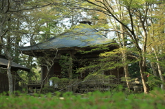 平泉・中尊寺