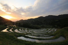 薄雲の朝