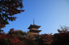 清水寺3