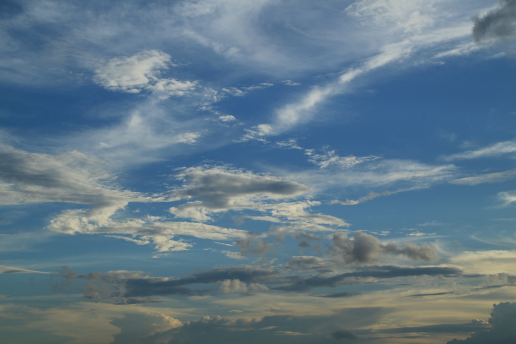 雲