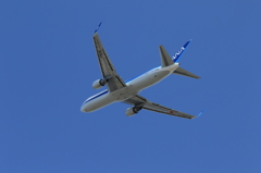 大空へ