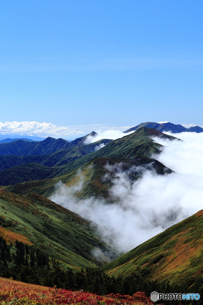 巻機山尾根