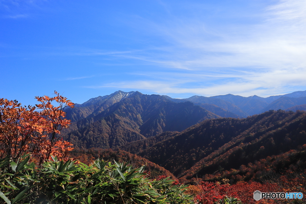 越後駒ケ岳尾根